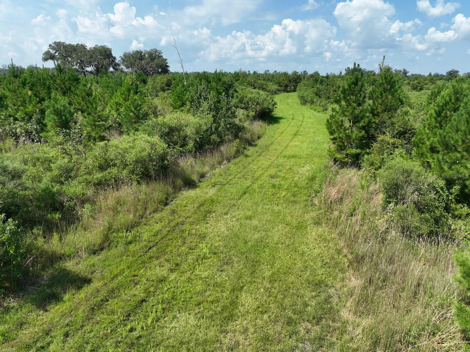 Morriston FL 32668