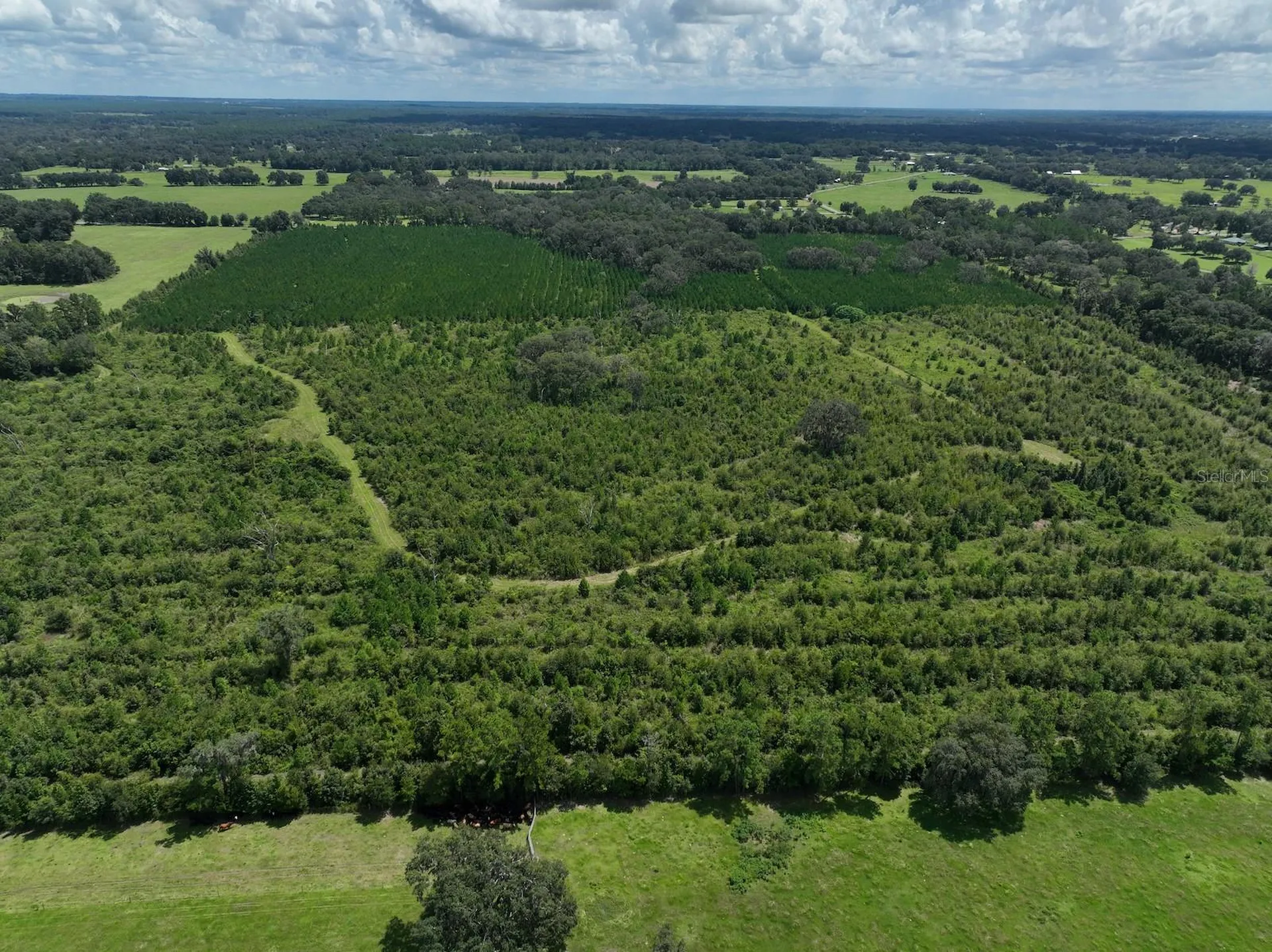 Morriston FL 32668