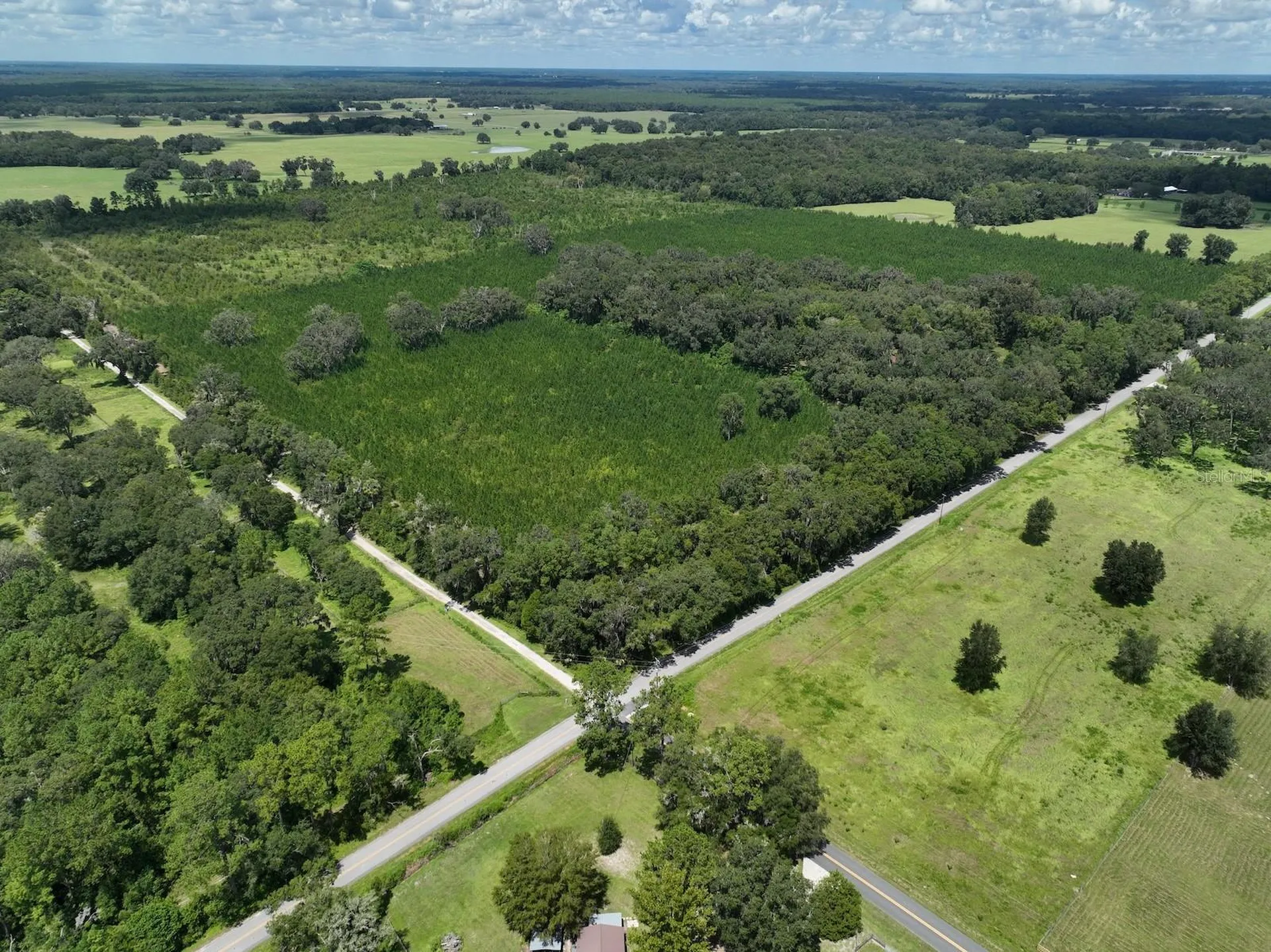 Morriston FL 32668