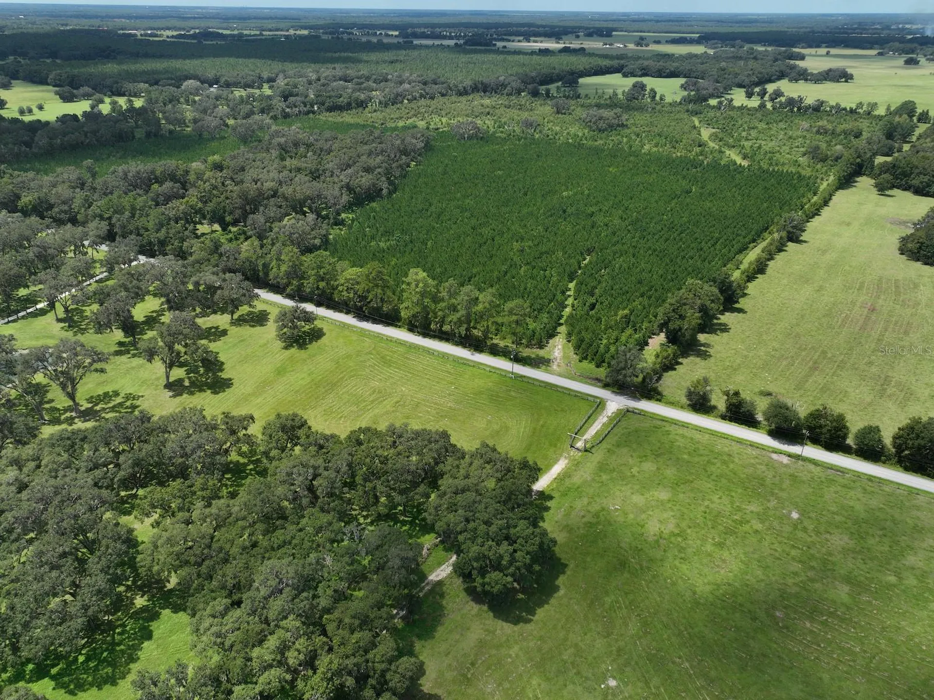 Morriston FL 32668