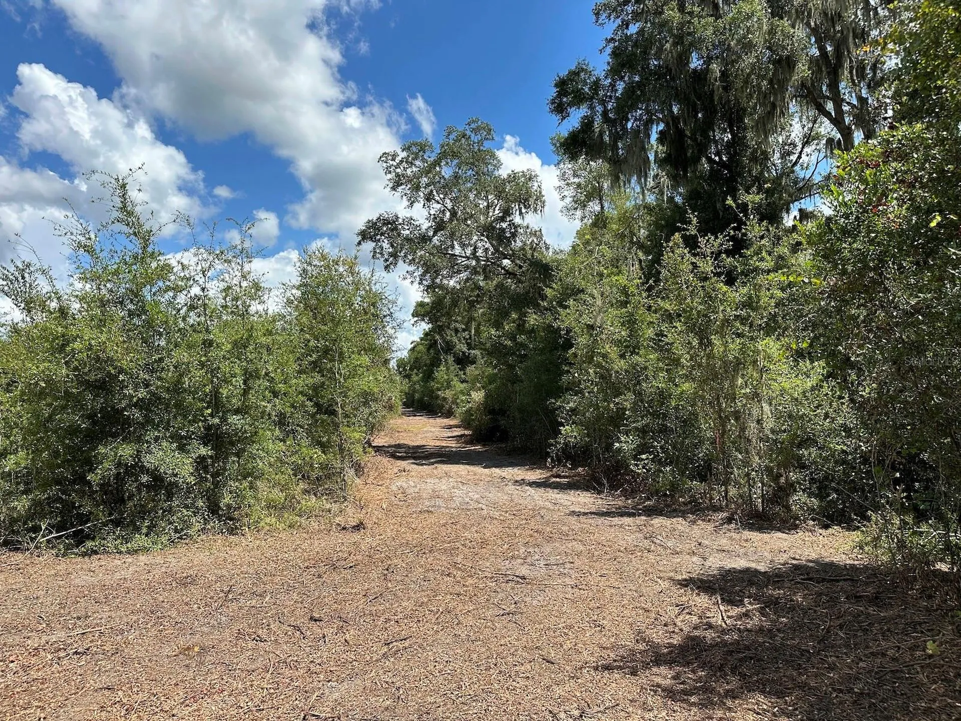 Morriston FL 32668