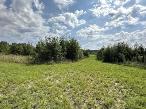 Morriston FL 32668