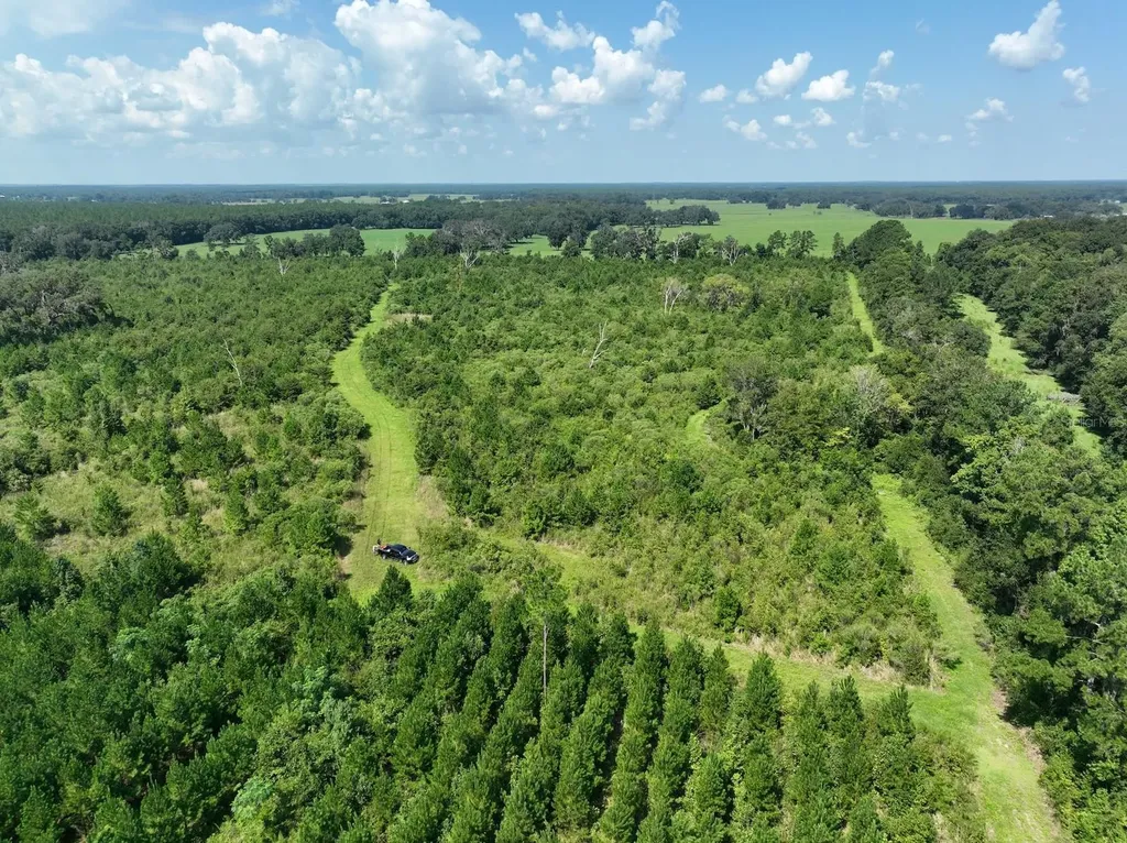 Parcel D NW 160th Avenue Morriston FL 32668