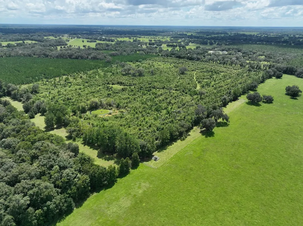 Parcel D NW 160th Avenue Morriston FL 32668