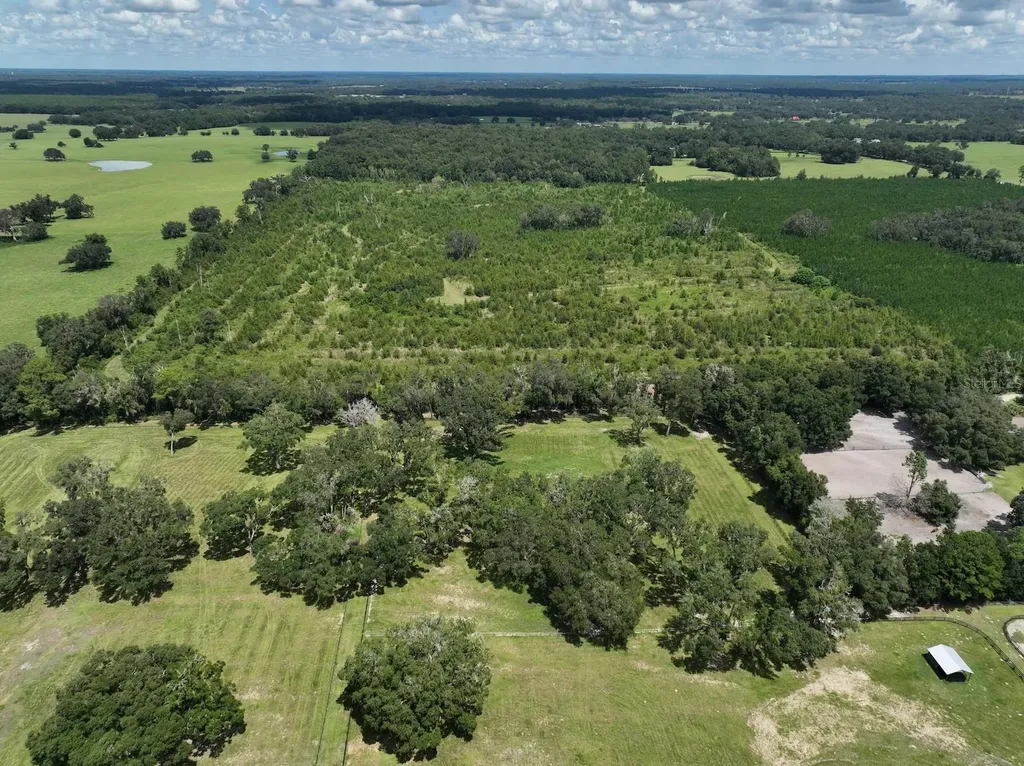 Parcel D NW 160th Avenue Morriston FL 32668