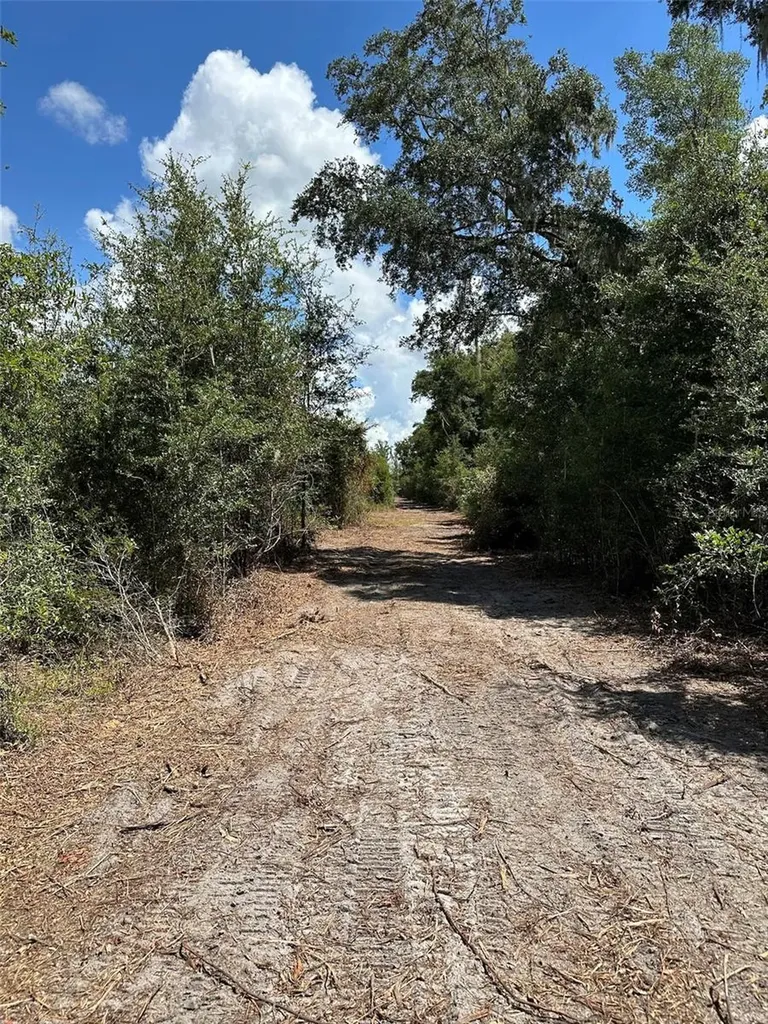 Parcel D NW 160th Avenue Morriston FL 32668