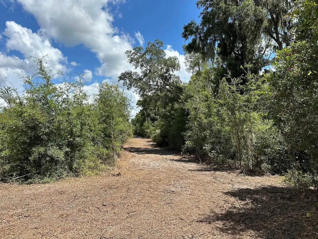 Parcel D NW 160th Avenue Morriston FL 32668
