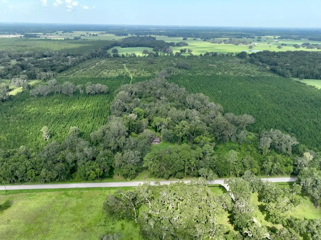 Parcel D NW 160th Avenue Morriston FL 32668