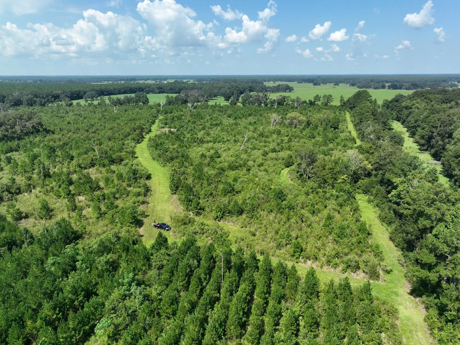 Parcel D NW 160th Avenue Morriston FL 32668