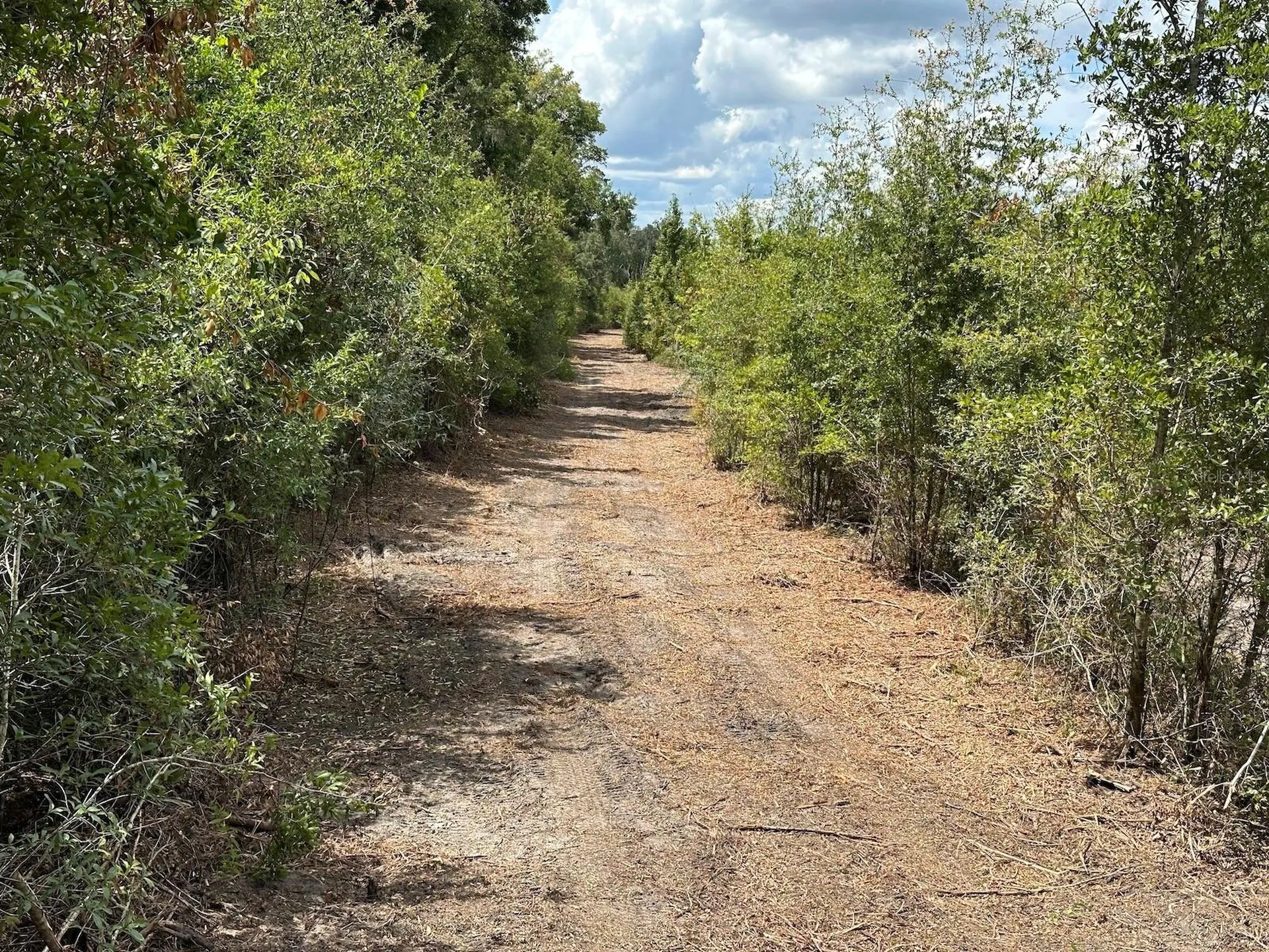 Parcel D NW 160th Avenue Morriston FL 32668