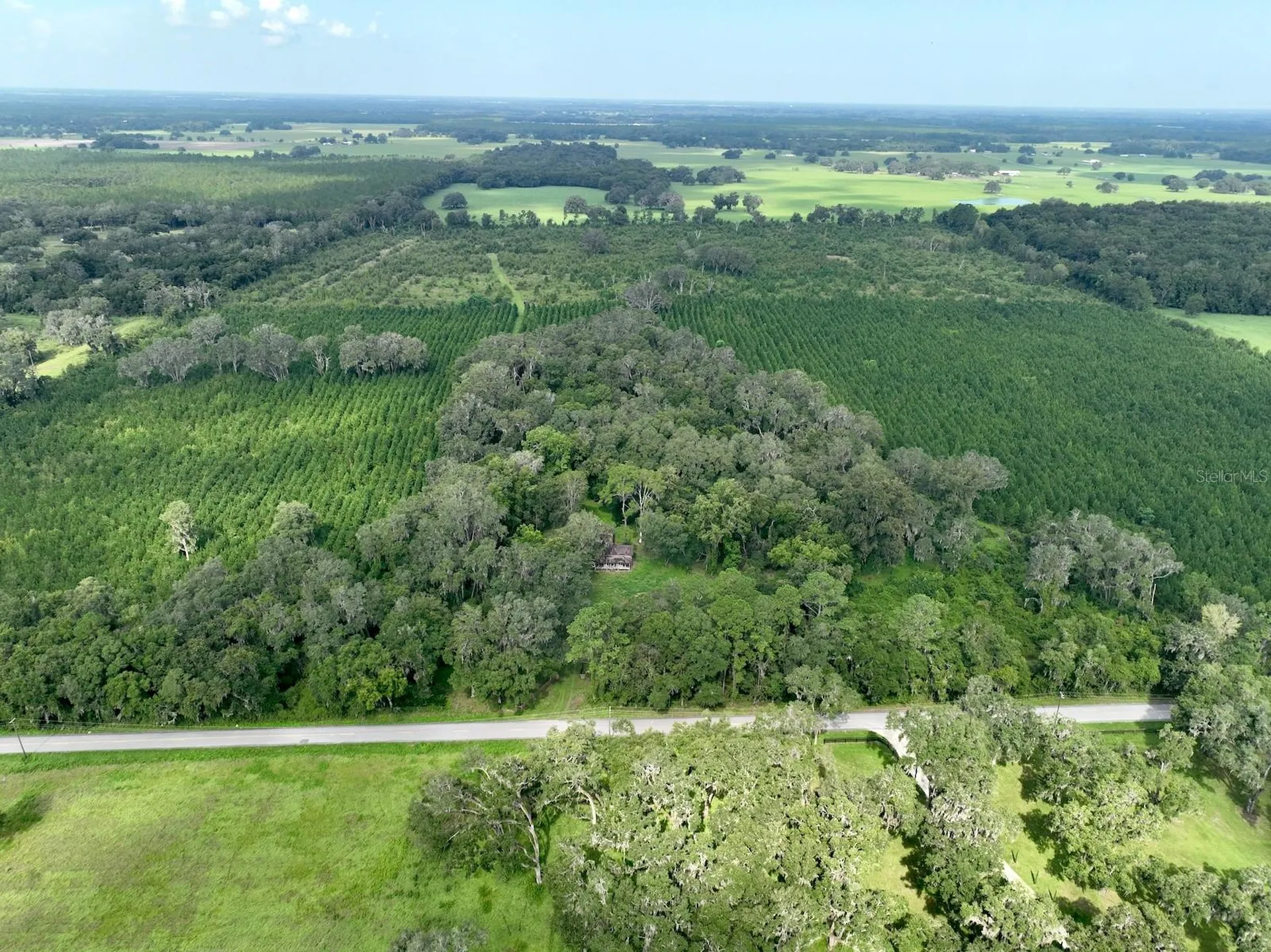 Parcel D NW 160th Avenue Morriston FL 32668