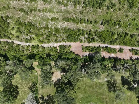Parcel D NW 160th Avenue Morriston FL 32668
