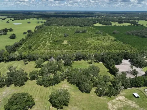 Parcel D NW 160th Avenue Morriston FL 32668