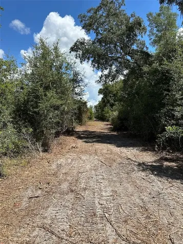 Parcel D NW 160th Avenue Morriston FL 32668