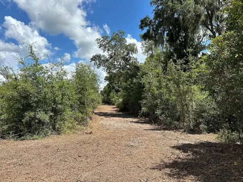 Parcel D NW 160th Avenue Morriston FL 32668
