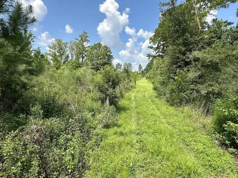 Parcel D NW 160th Avenue Morriston FL 32668