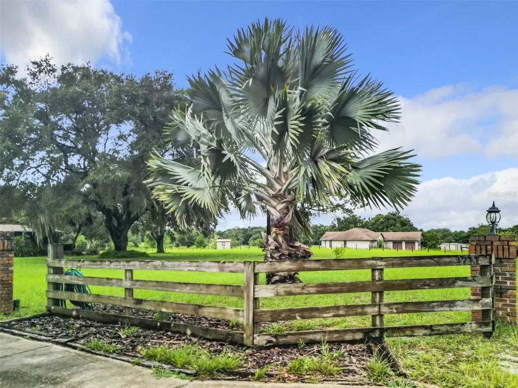 4711 County Road 134 Wildwood FL 34785