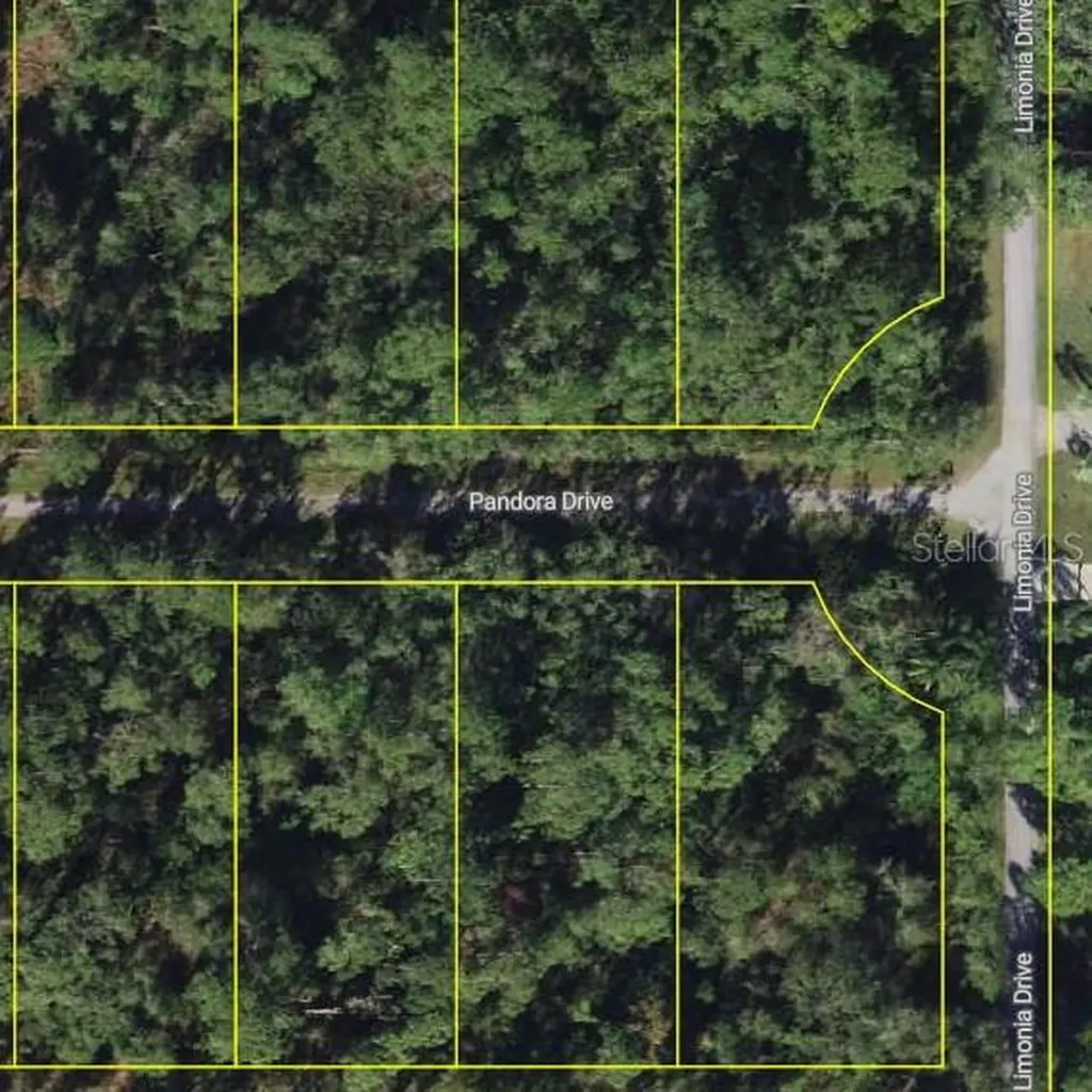 203 Pandora Drive Indian Lake Estates FL 33855