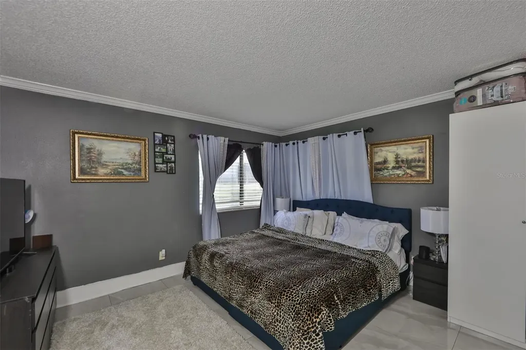 29129 S Bay Hollow Drive S Wesley Chapel FL 33543