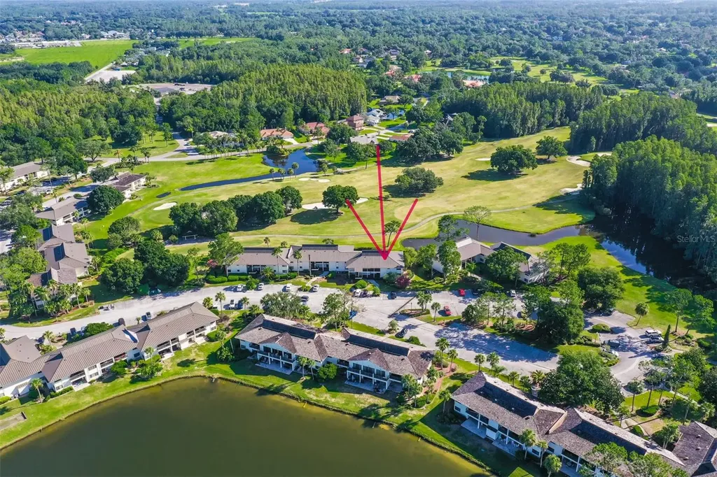 29129 S Bay Hollow Drive S Wesley Chapel FL 33543