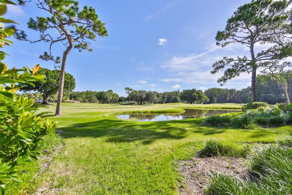 29129 S Bay Hollow Drive S Wesley Chapel FL 33543