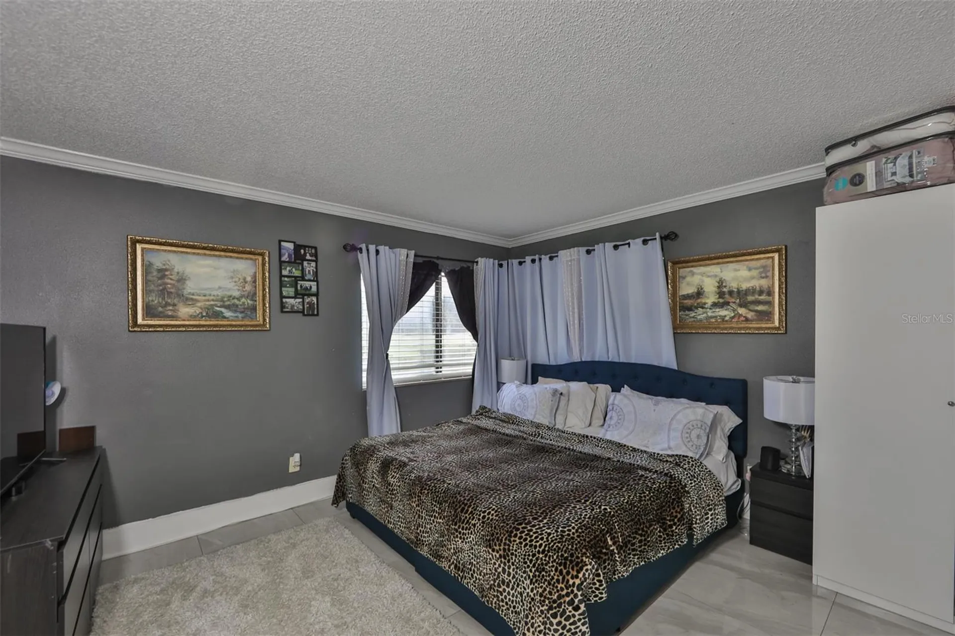 29129 S Bay Hollow Drive S Wesley Chapel FL 33543