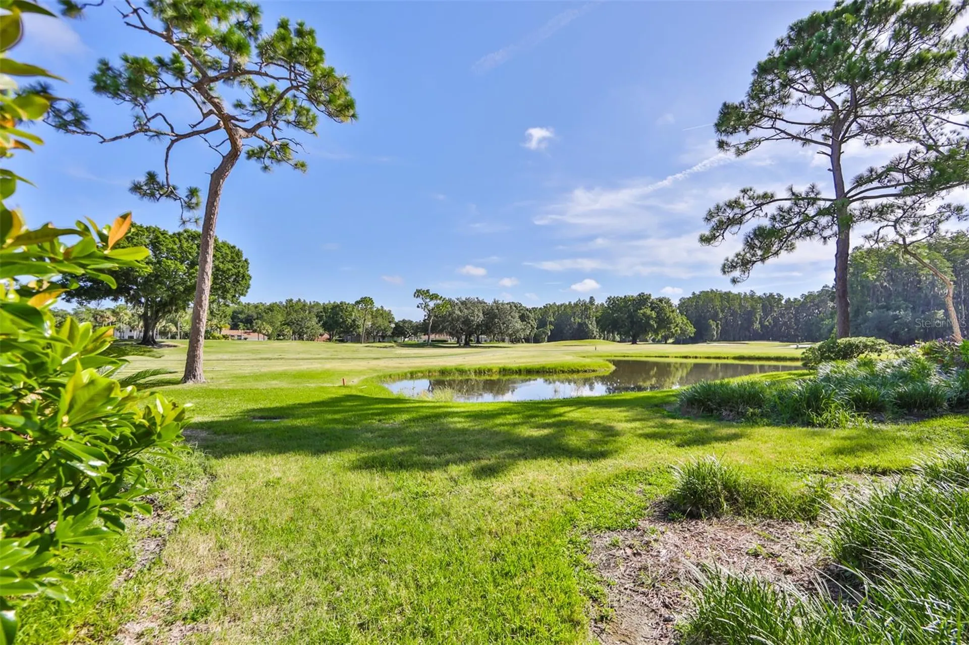 29129 S Bay Hollow Drive S Wesley Chapel FL 33543