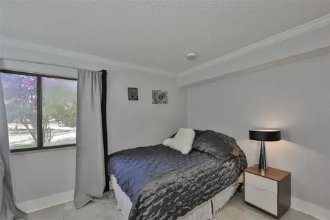 29129 S Bay Hollow Drive S Wesley Chapel FL 33543