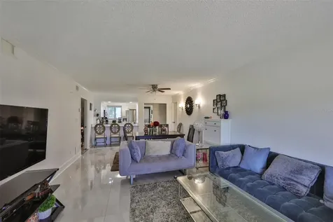 29129 S Bay Hollow Drive S Wesley Chapel FL 33543