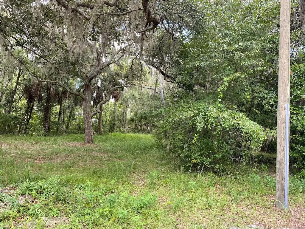 Cr 448c Lake Panasoffkee FL 33538