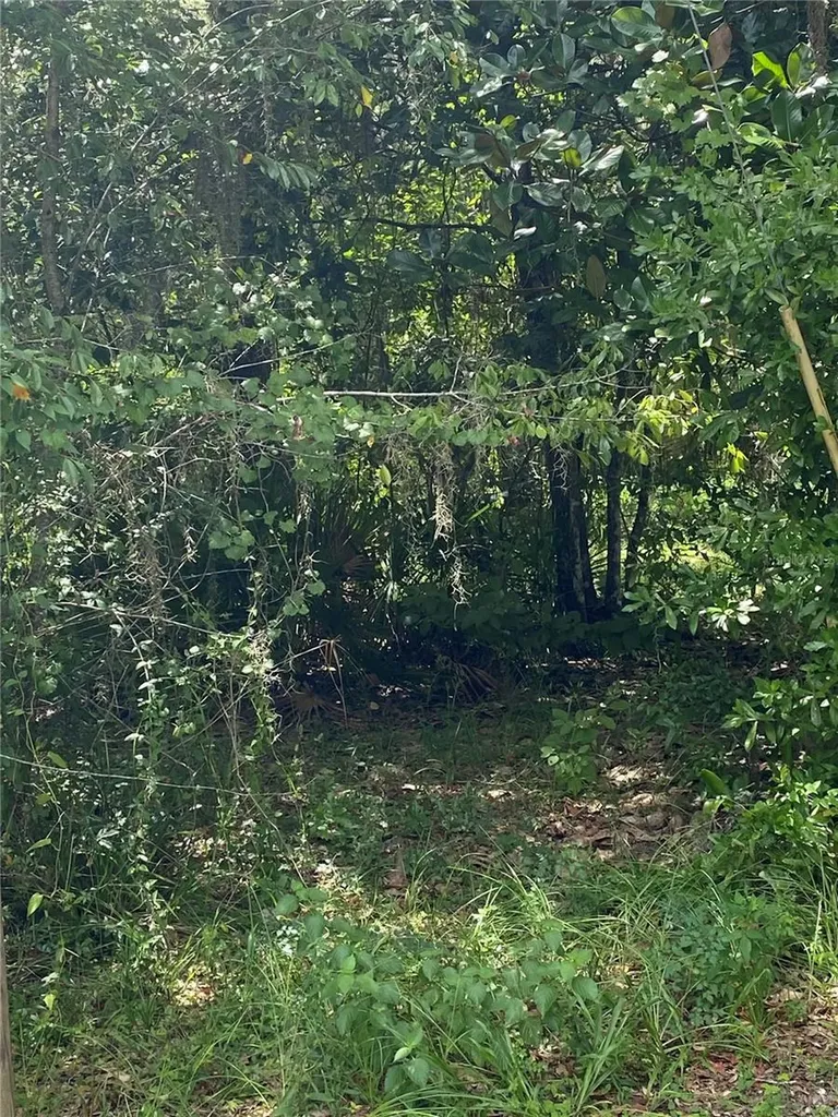 Cr 448c Lake Panasoffkee FL 33538