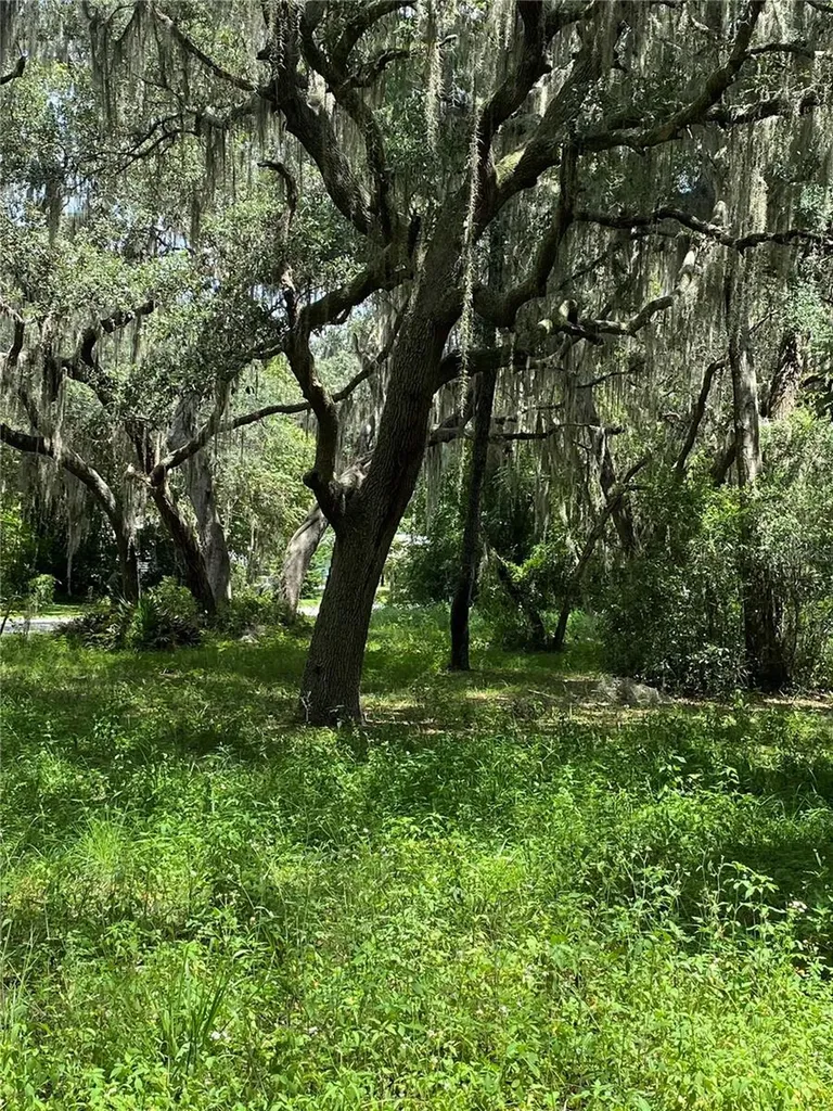Cr 448c Lake Panasoffkee FL 33538