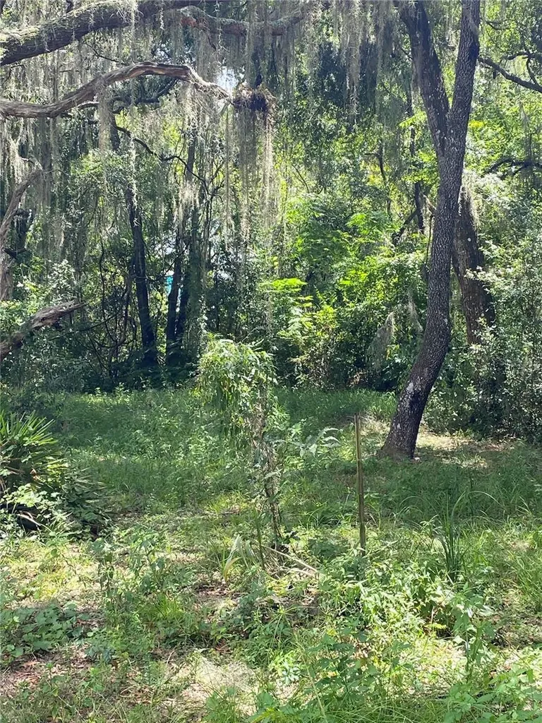Cr 448c Lake Panasoffkee FL 33538