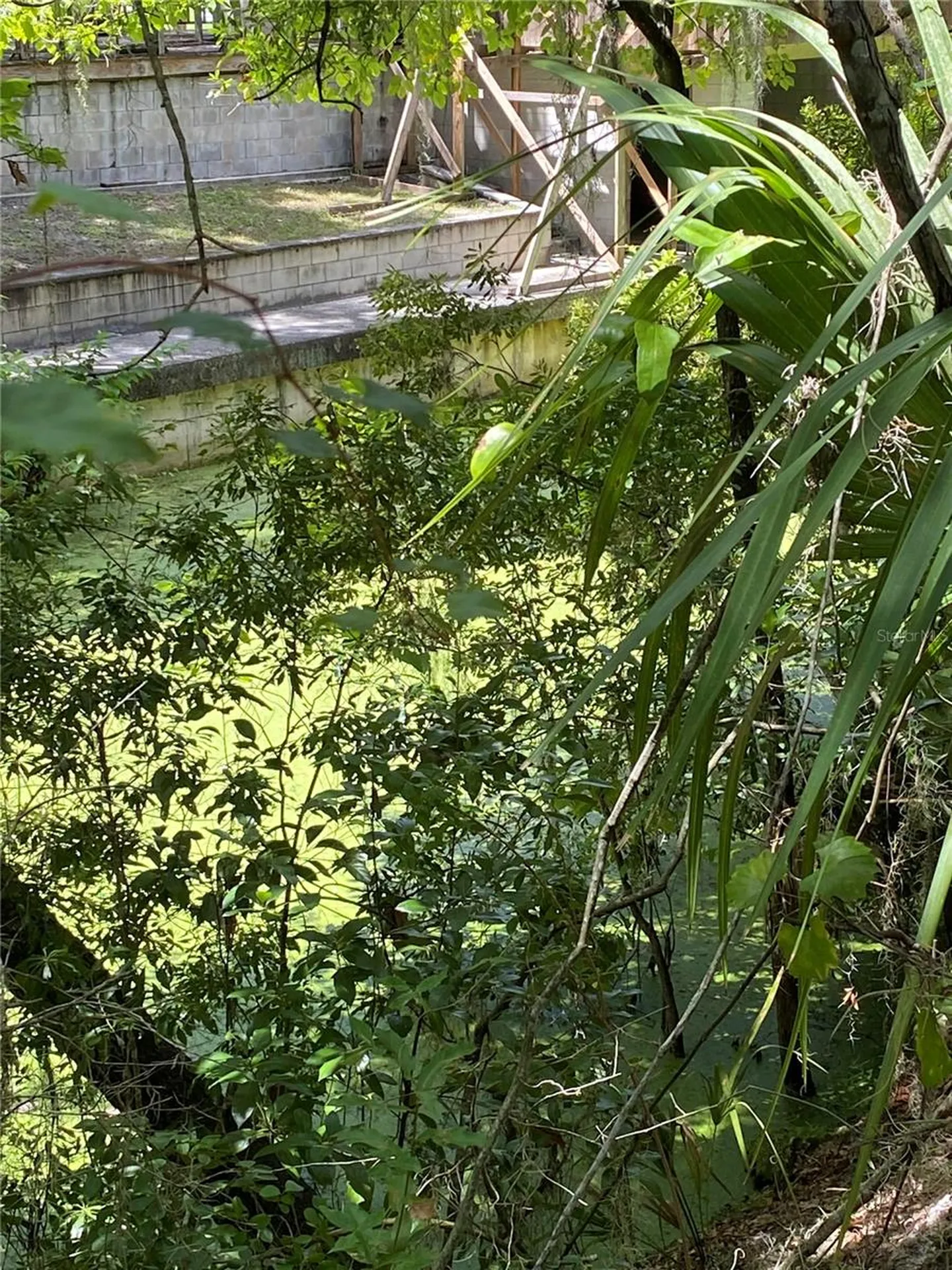 Cr 448c Lake Panasoffkee FL 33538