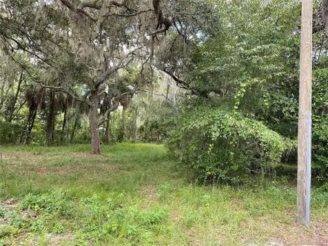 Cr 448c Lake Panasoffkee FL 33538