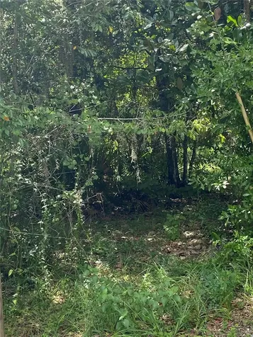 Cr 448c Lake Panasoffkee FL 33538