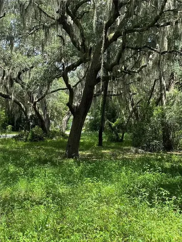 Cr 448c Lake Panasoffkee FL 33538