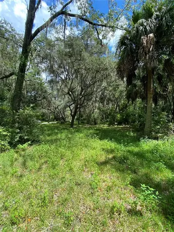 Cr 448c Lake Panasoffkee FL 33538