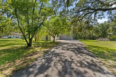 11342 Grovewood Boulevard Land O Lakes FL 34638