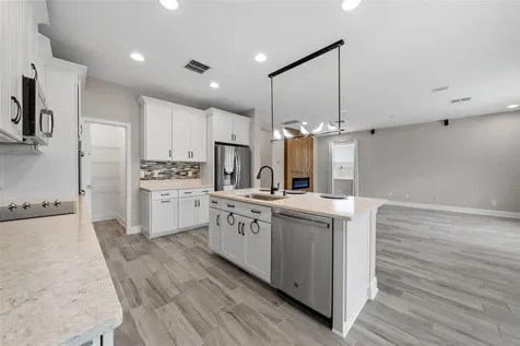 20036 Stone Pine Circle Lutz FL 33558