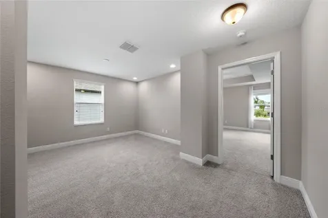 20036 Stone Pine Circle Lutz FL 33558