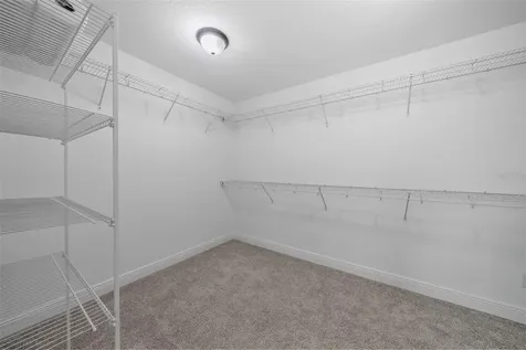 20036 Stone Pine Circle Lutz FL 33558