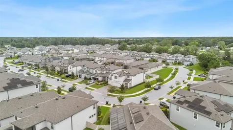 20036 Stone Pine Circle Lutz FL 33558