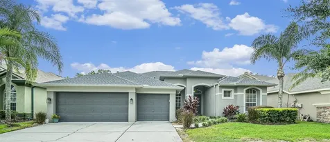 12914 Castlemaine Drive Tampa FL 33626