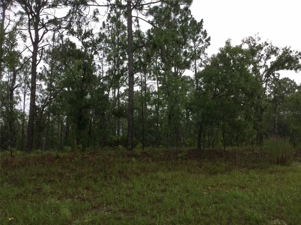 2191 W Citrus Springs Boulevard Dunnellon FL 34434