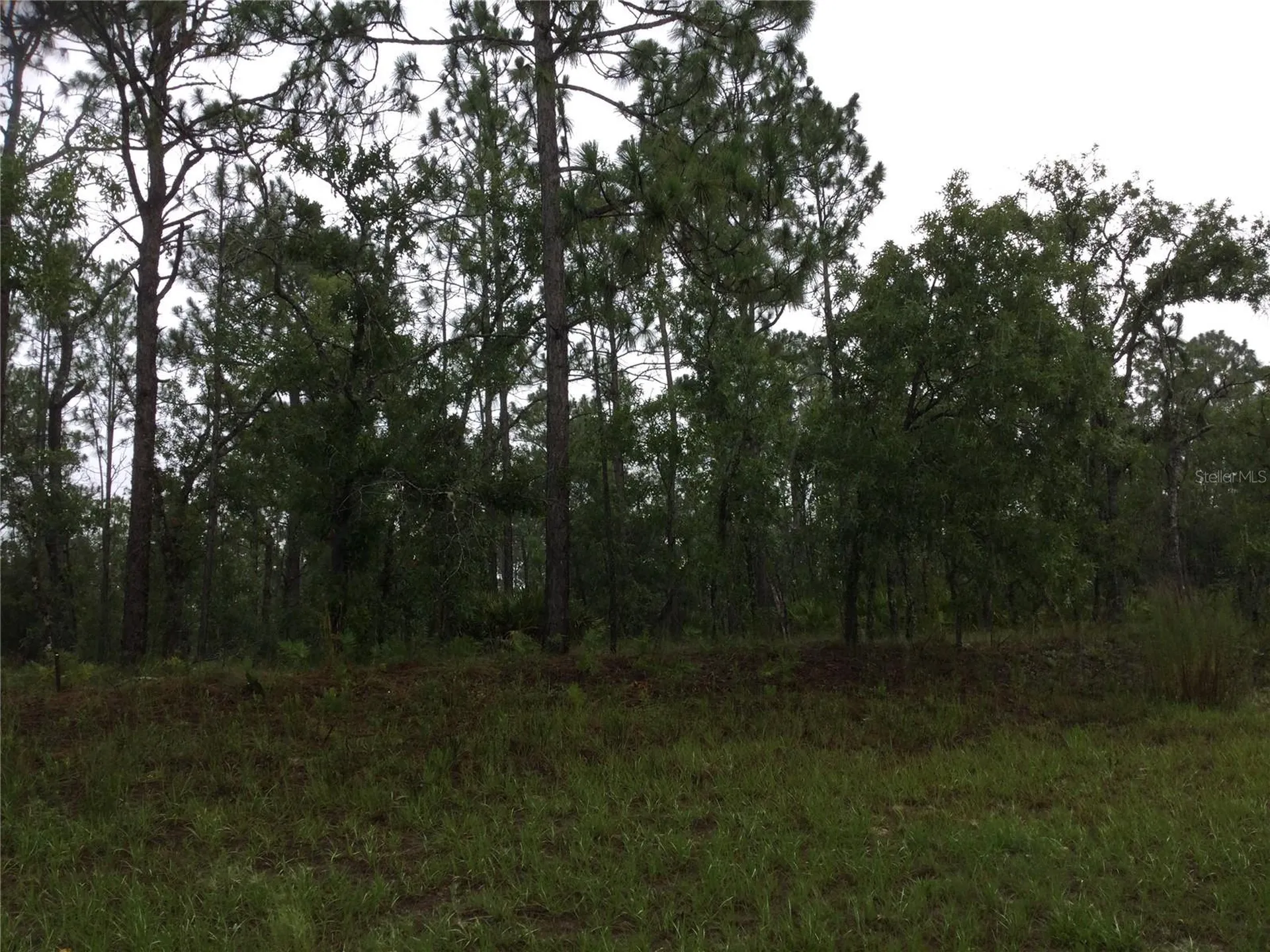 2191 W Citrus Springs Boulevard Dunnellon FL 34434