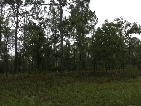 2191 W Citrus Springs Boulevard Dunnellon FL 34434