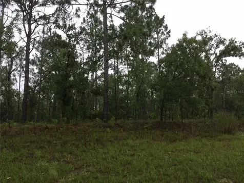 2191 W Citrus Springs Boulevard Dunnellon FL 34434
