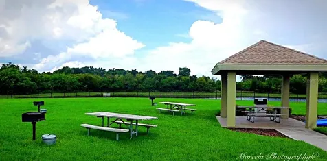 11538 Ashton Field Avenue Riverview FL 33579