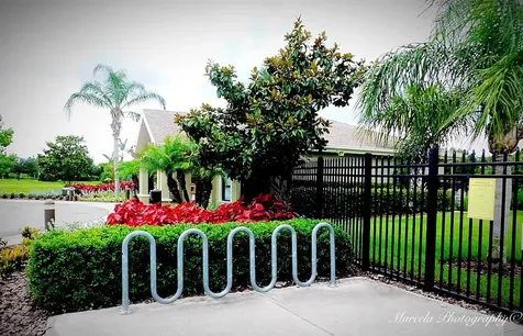 11538 Ashton Field Avenue Riverview FL 33579